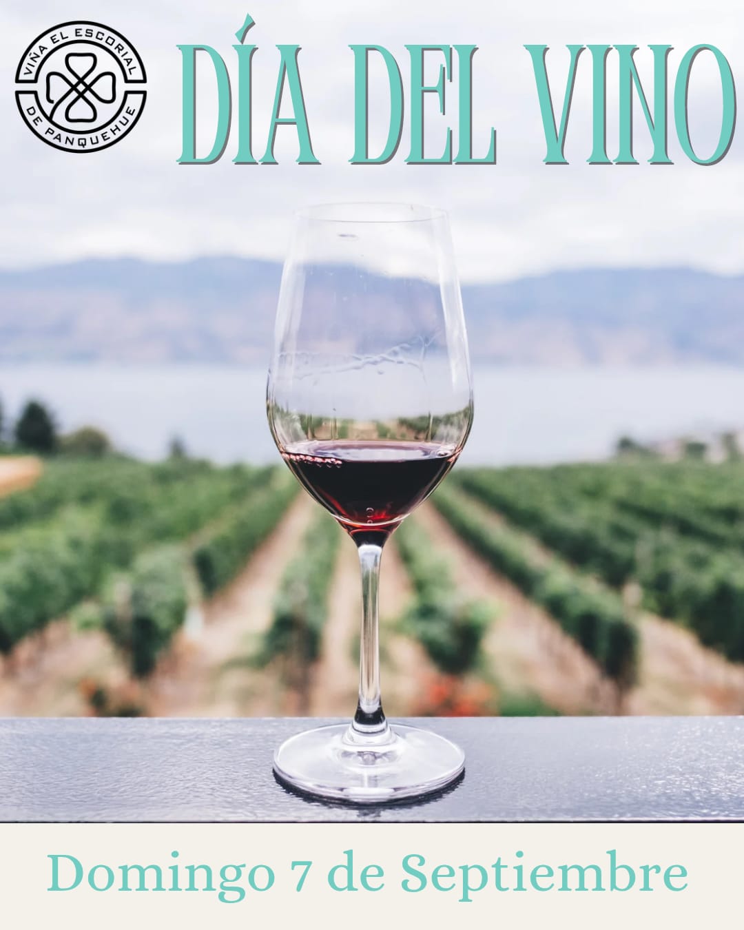 Dia del Vino Chileno